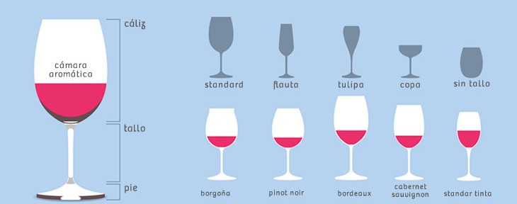 14 infografías sobre copas de vino - vinopack